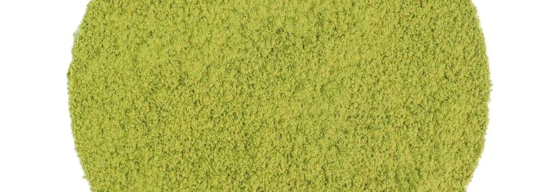 Matcha Beginner