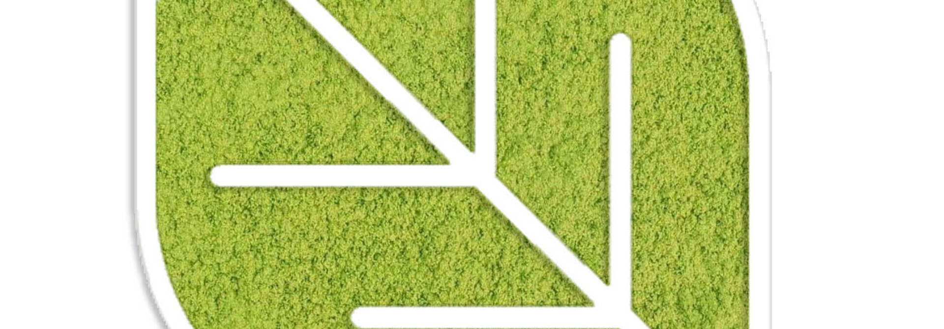 Matcha Premium