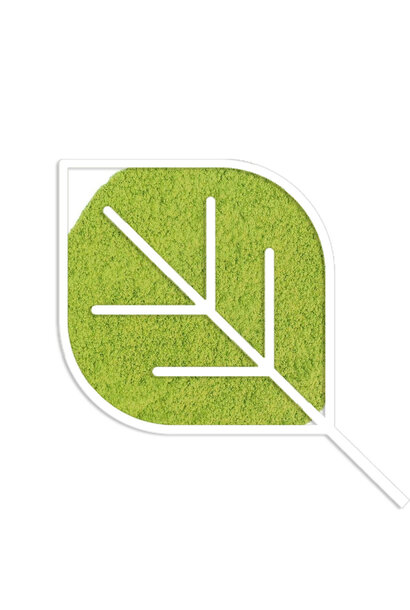 Matcha Premium Tee