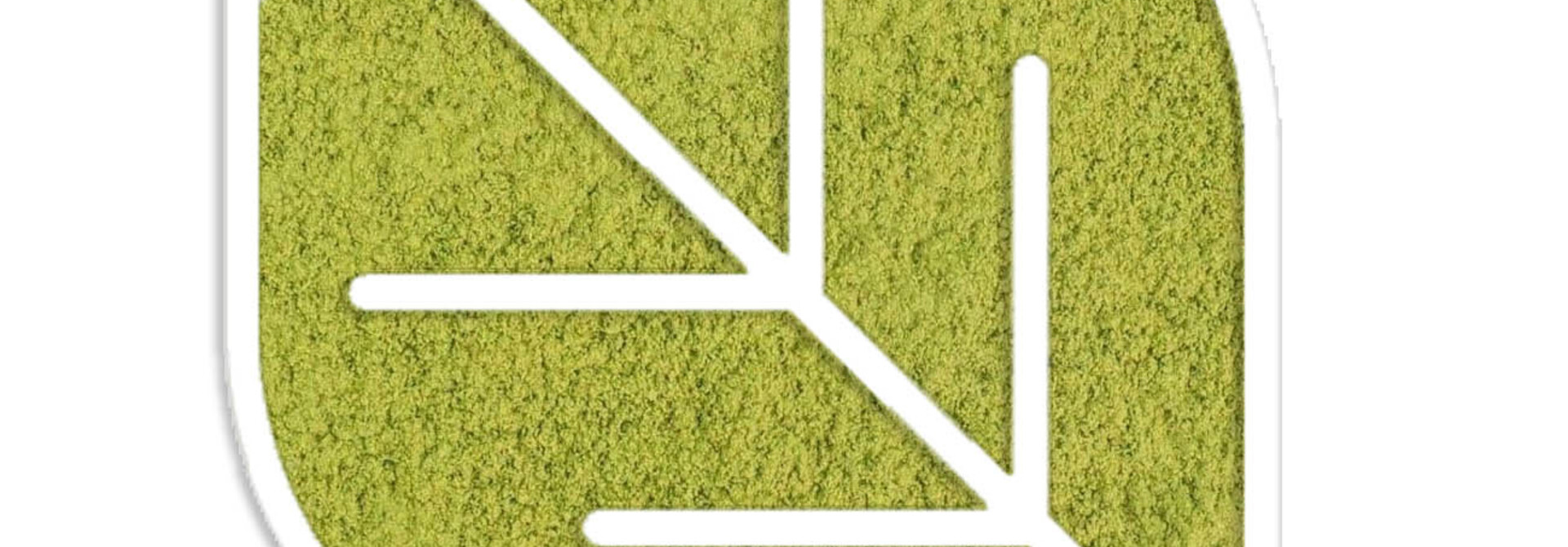 Matcha Beginner