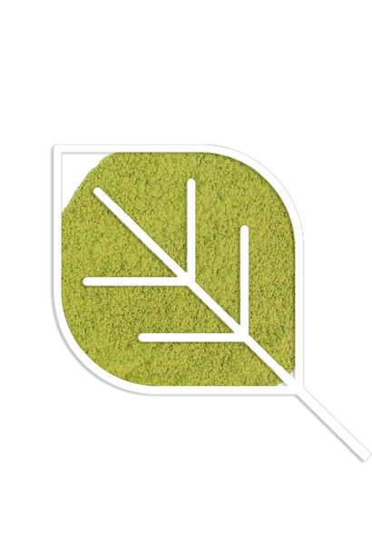 Matcha Vanille Koekjes