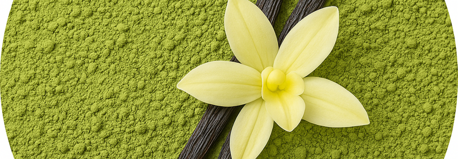 Matcha Vanille Koekjes