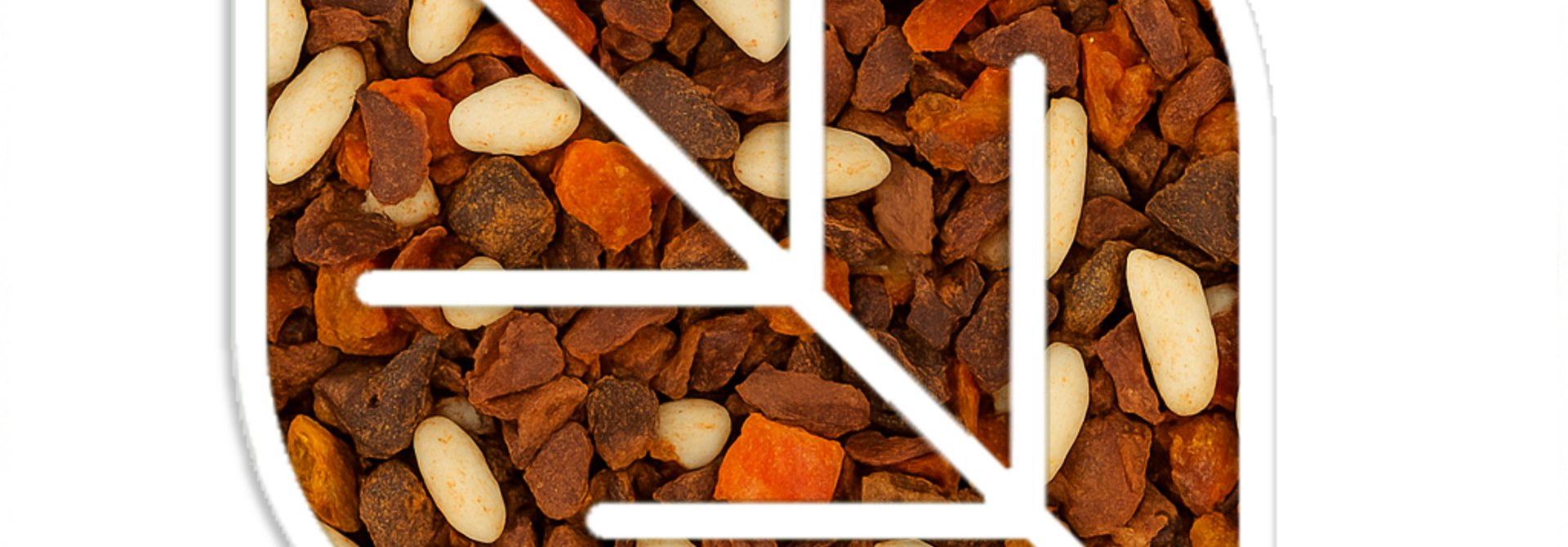 Autumn Potion