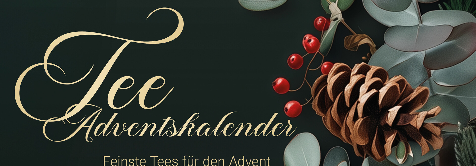 Theevol Wonderboek Adventskalender