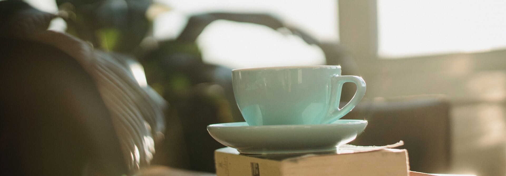 Welke thee werkt het beste tegen jouw verkoudheid?