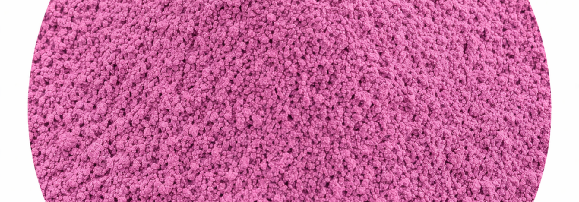 Paarse Yam Poeder (Ube) 250 gram