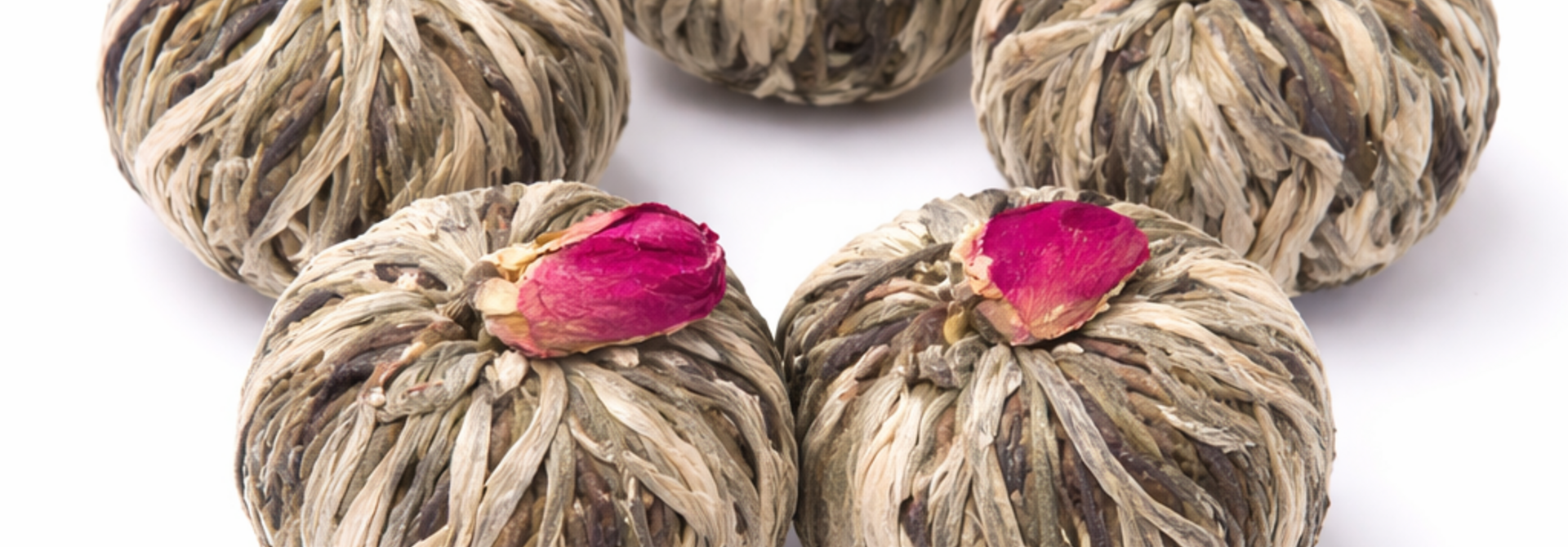 Theebloem Blushing Rose