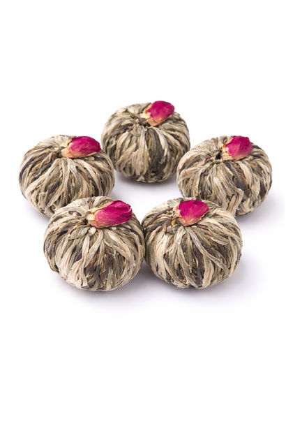 Theebloem Blushing Rose