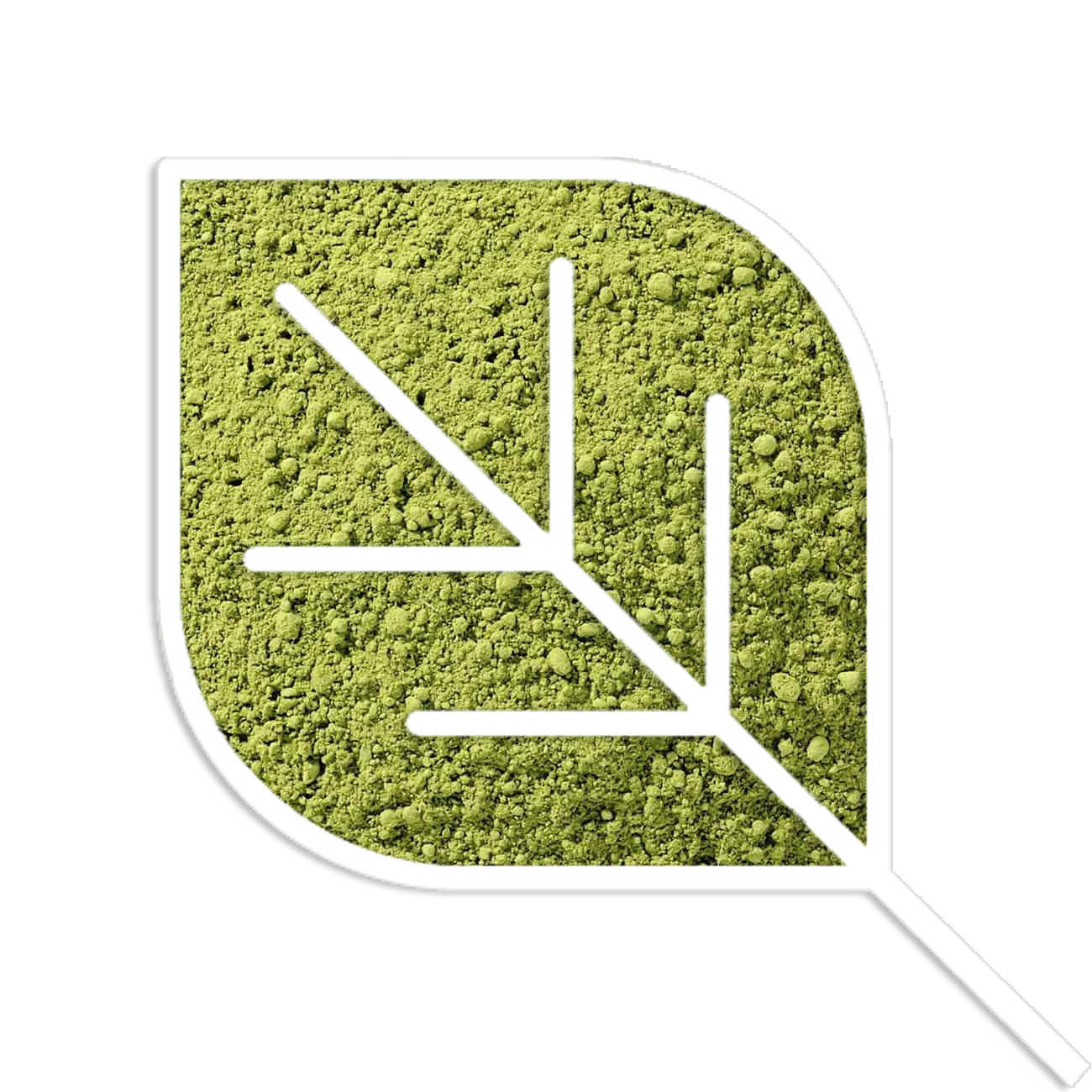 Blueberry Cookie Matcha Protein 500 gram-1