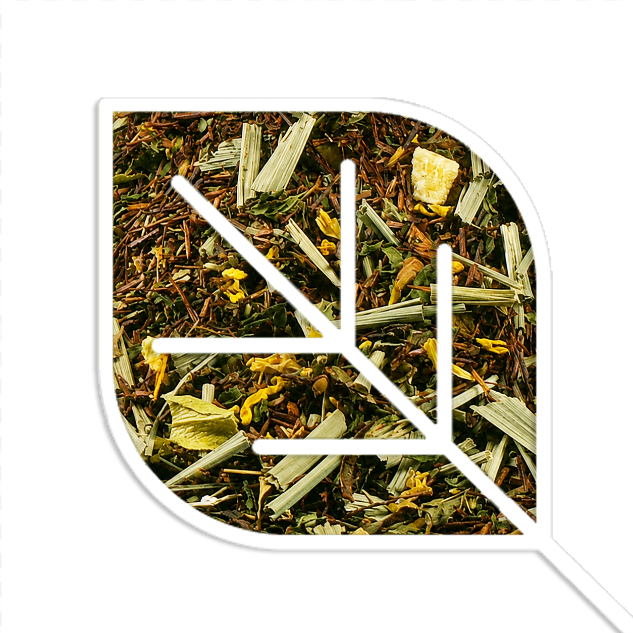 Lemon Mint-1