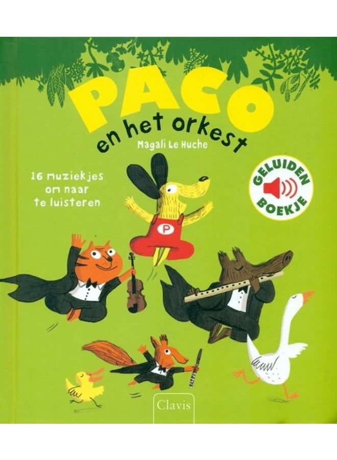 Paco en het orkest (geluidenboekje)