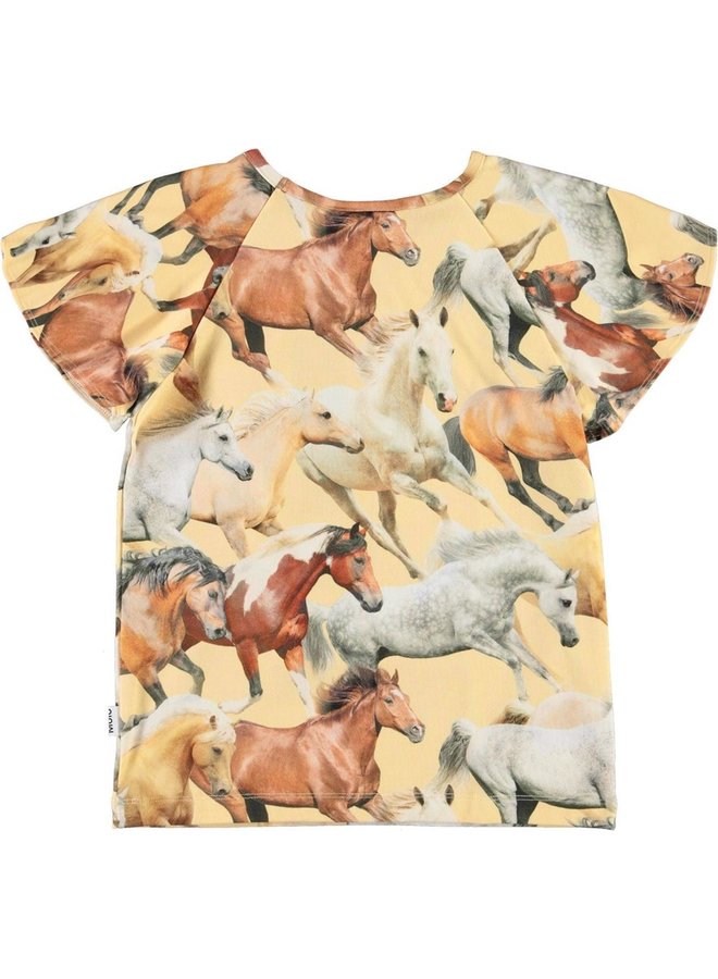 Molo T-Shirt Rachel Horse Dreams