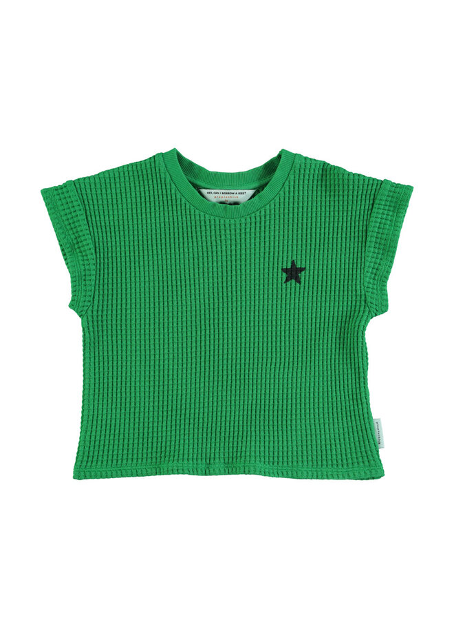 Piupiuchick t-shirt green black logo
