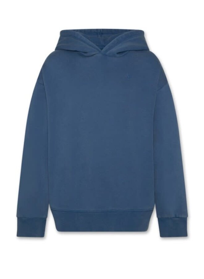 AO76 arthur hoodie delft