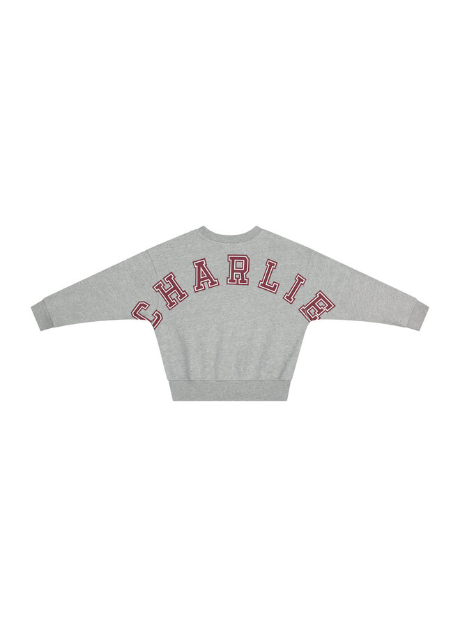 Charlie petite jones sweater grey melange