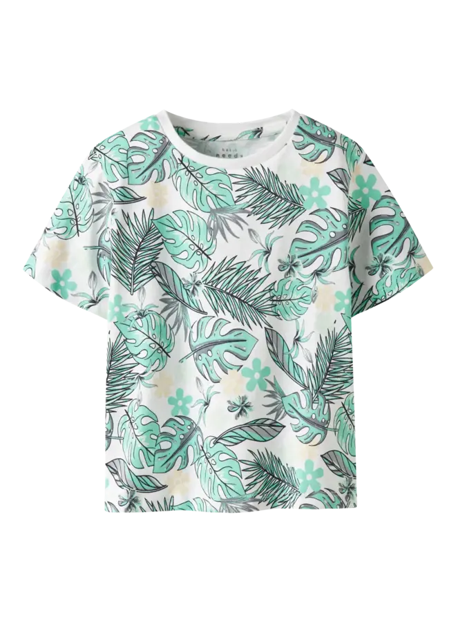 Name it nmmvalmas nreg top white