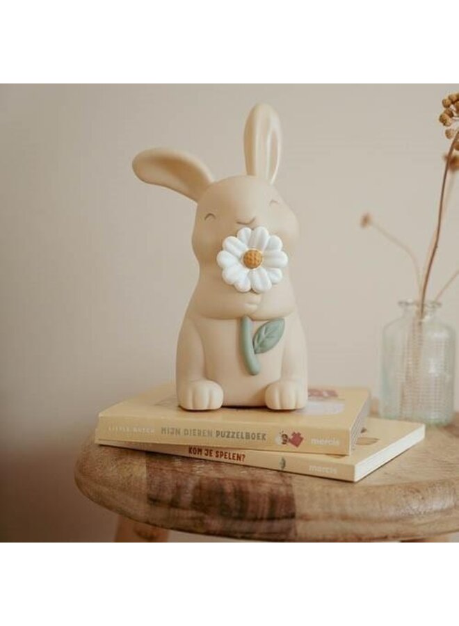 Little dutch nachtlampje  meerkleurig forest friends baby bunny