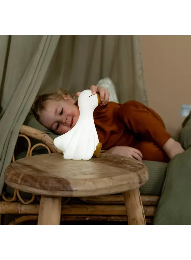 Little dutch little goose nachtlampje