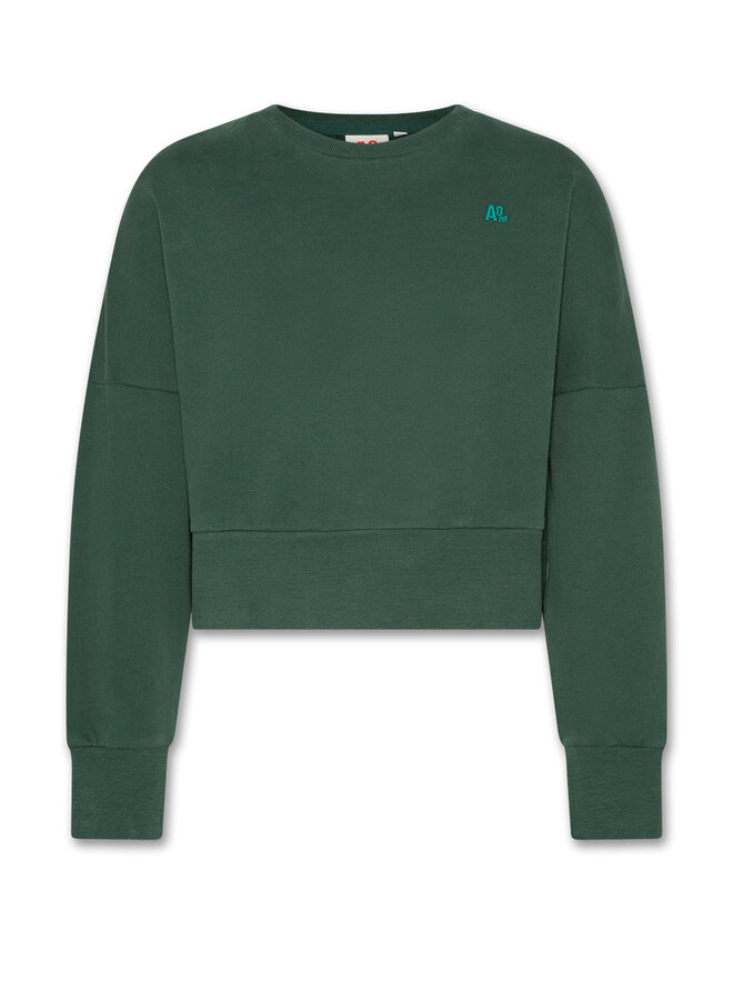 AO76 abby sweater school green