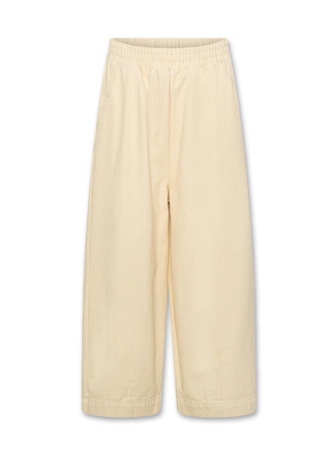 AO76 asa pants shell