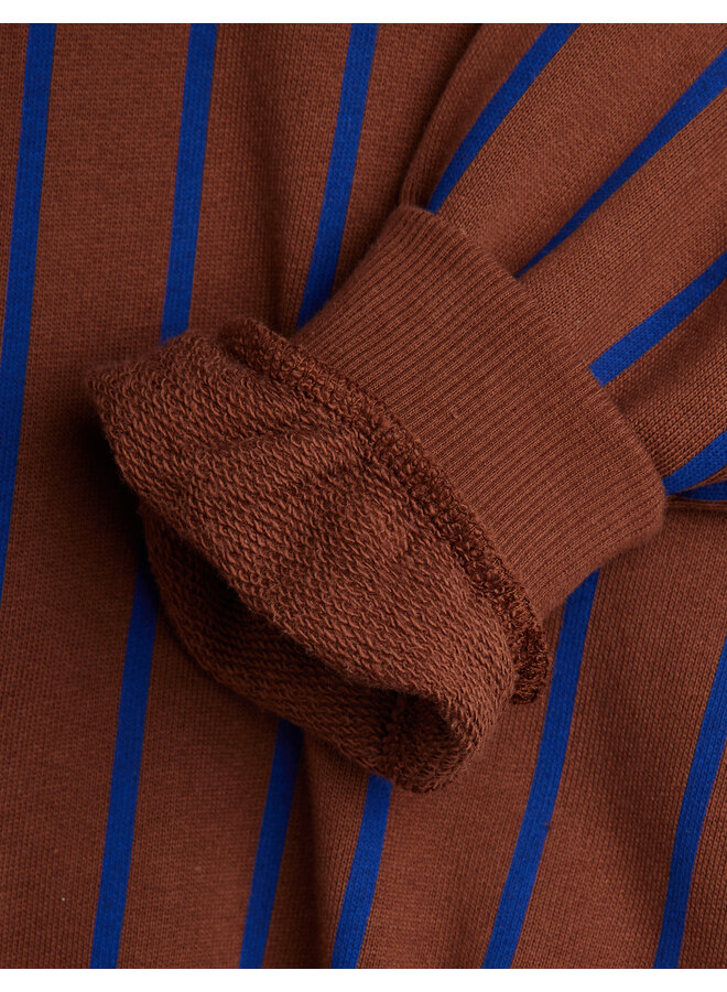 Mini rodini vertical stripe aop sweatshirt brown