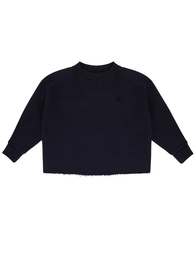 Jenest billie sweater navy blue
