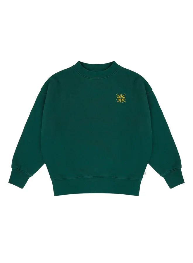Jenest bird embro sweater dark green