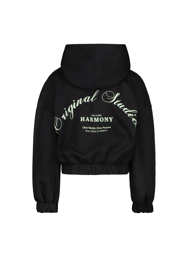 Cars esmea hood black