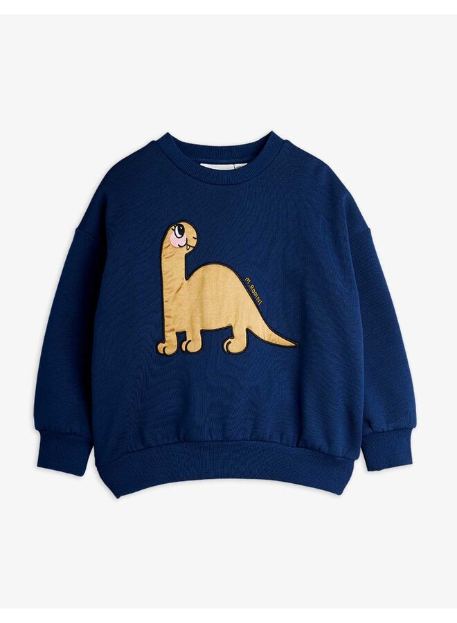 Mini rodini dino application sweatshirt