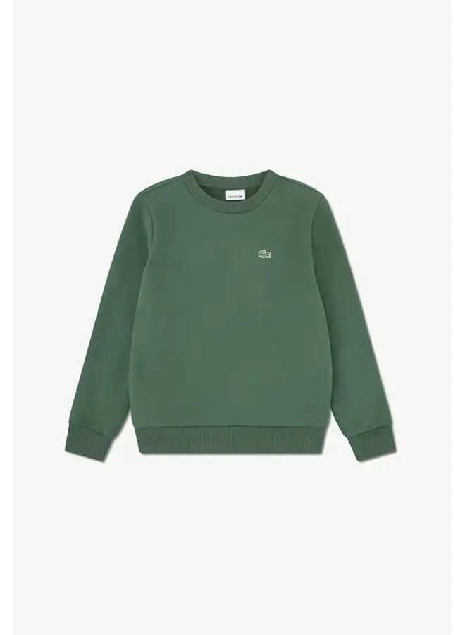 Lacoste sweatshirt dark green