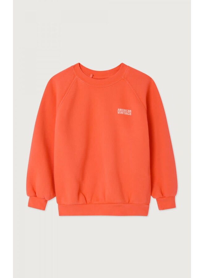 American vintage izubird sweater mandarinier