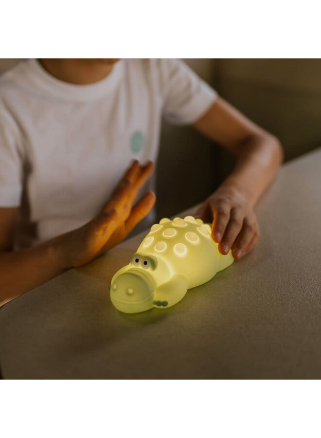 Mary's led lamp pop-it crocodile