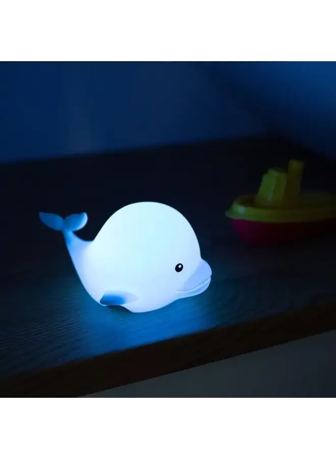 Mary's led lamp dolphin