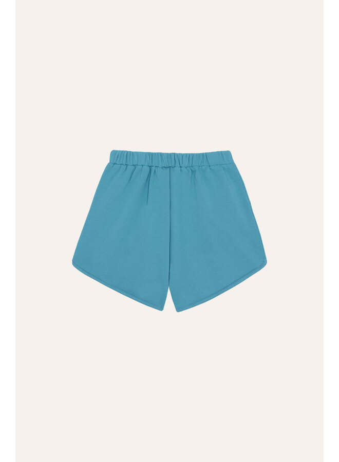 The campamento falling star shorts blue