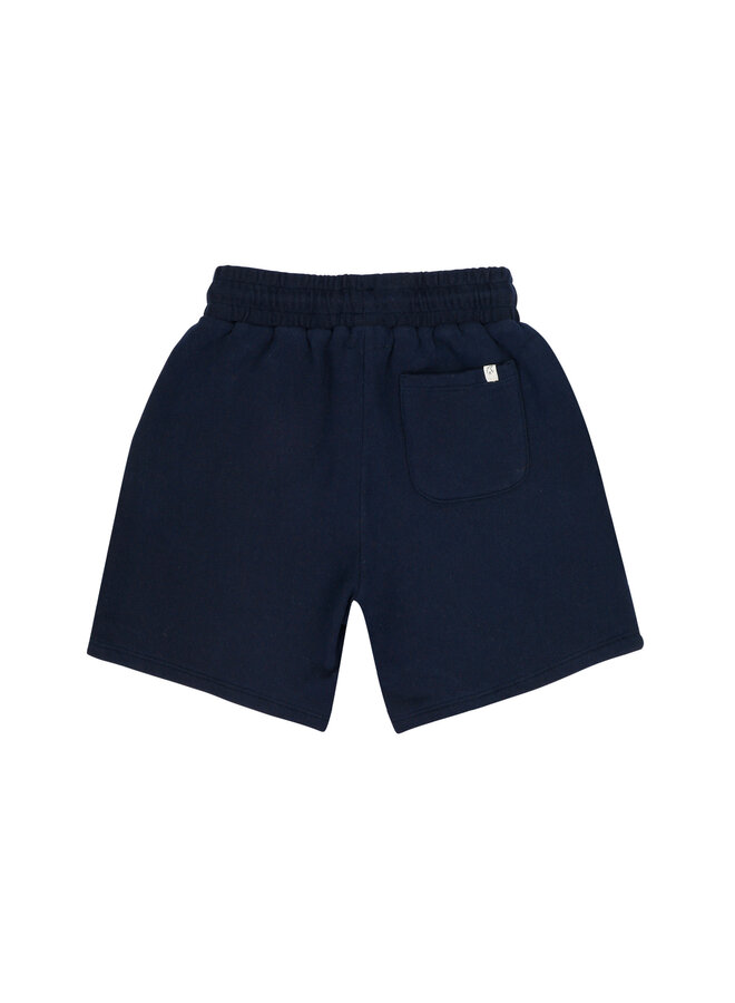 Jenest xavi shorts navy blue