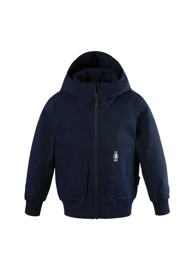 Gosoaky blue bird sky captain