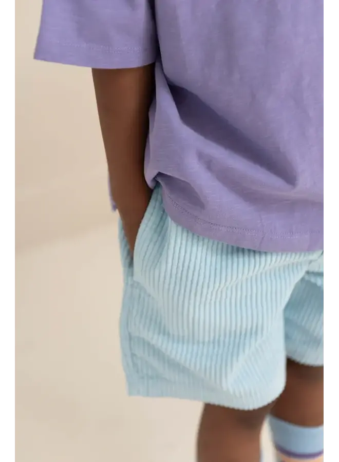 Jenest hug shorts water blue