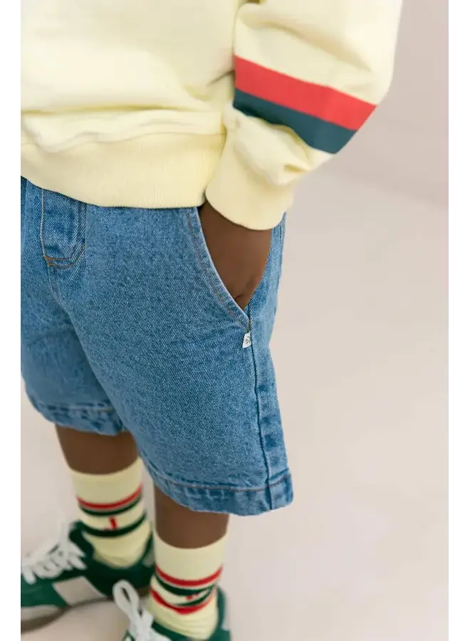 Jenest kai denim shorts medium wash