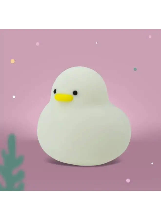 Mary's LED lamp duck