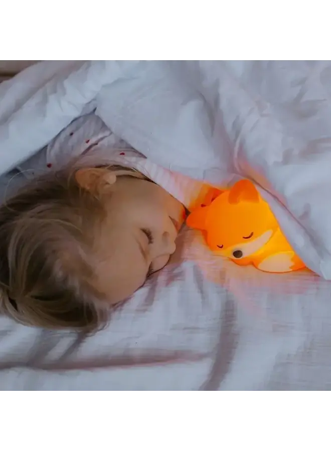 Mary's led lamp fox