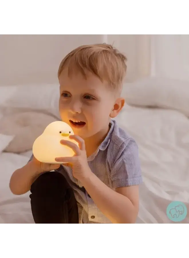 Mary's led lamp duck