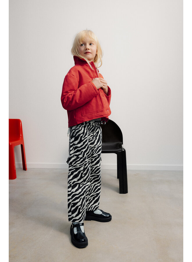 The new society logo jogging zebra print