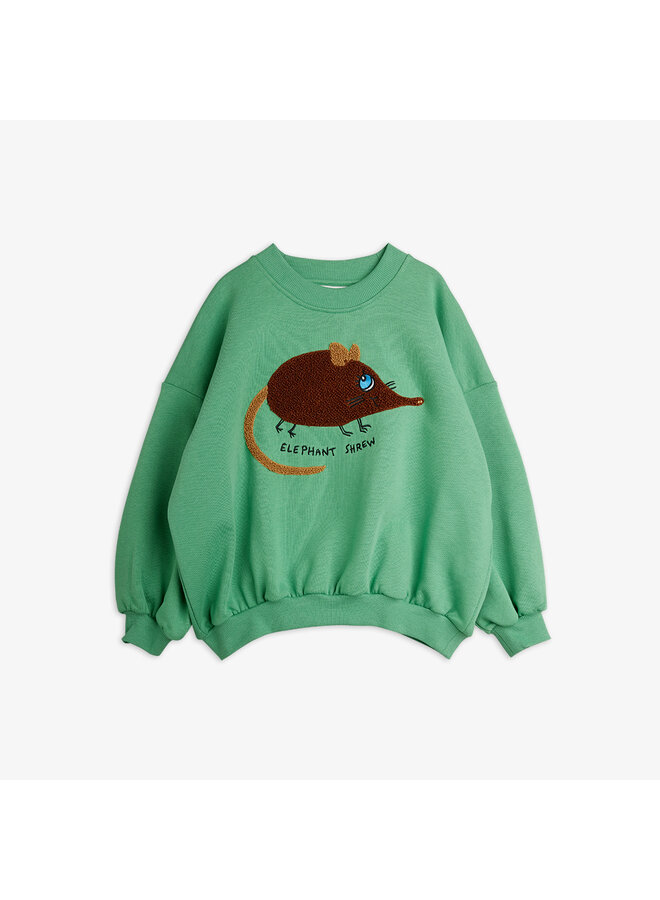 Mini rodini elephant shrew chenille sweatshirt green