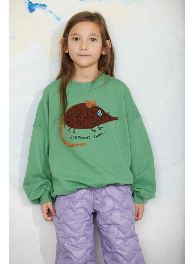 Mini rodini elephant shrew chenille sweatshirt green