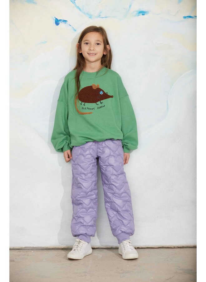 Mini rodini elephant shrew chenille sweatshirt green