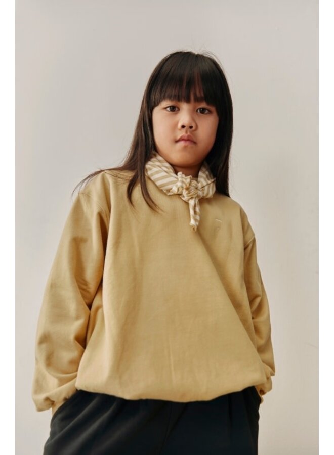 Gray label dropped shoulder sweater cookie
