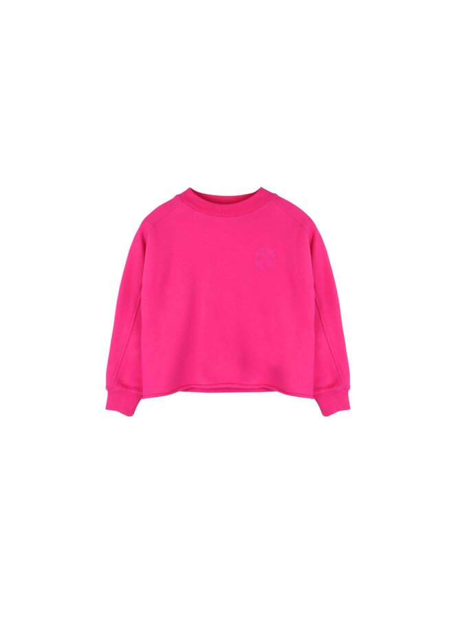 Jenest billie sweater raspberry pink