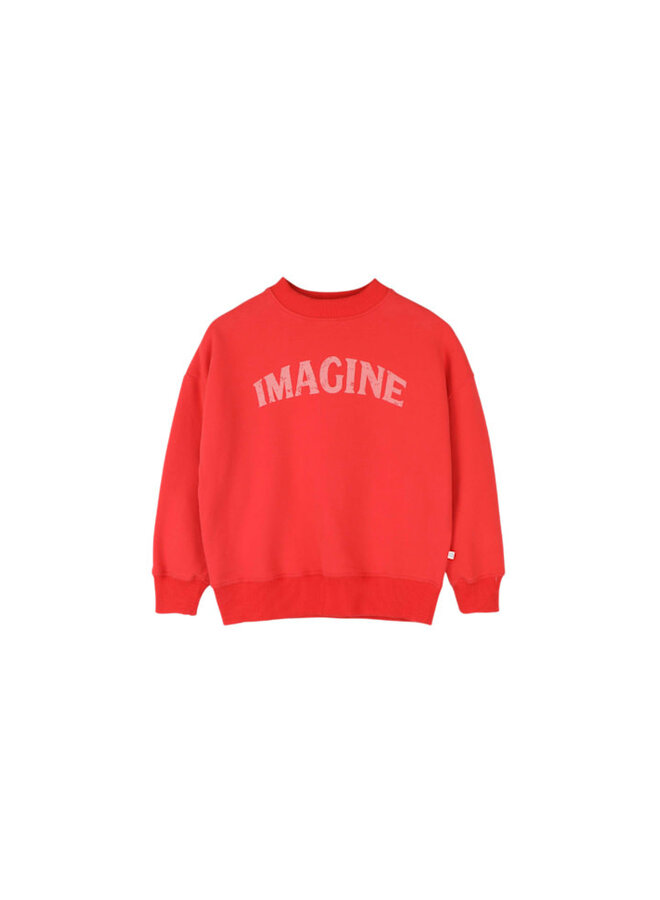 Jenest bird sweater spicy red