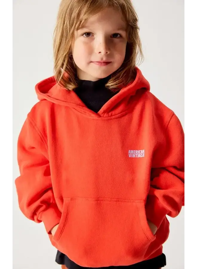 American vintage izubird hoodie love vintage