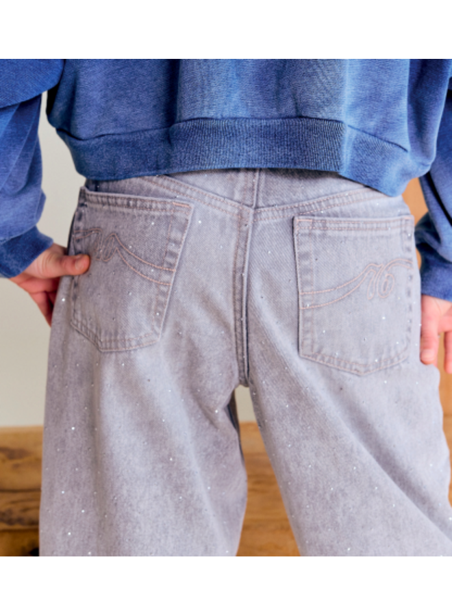 AO76 coco pants blake light grey glitter